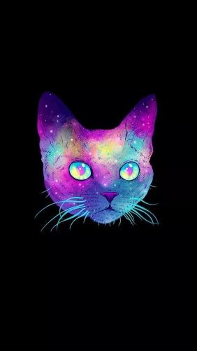 Cosmic Cat Portrait