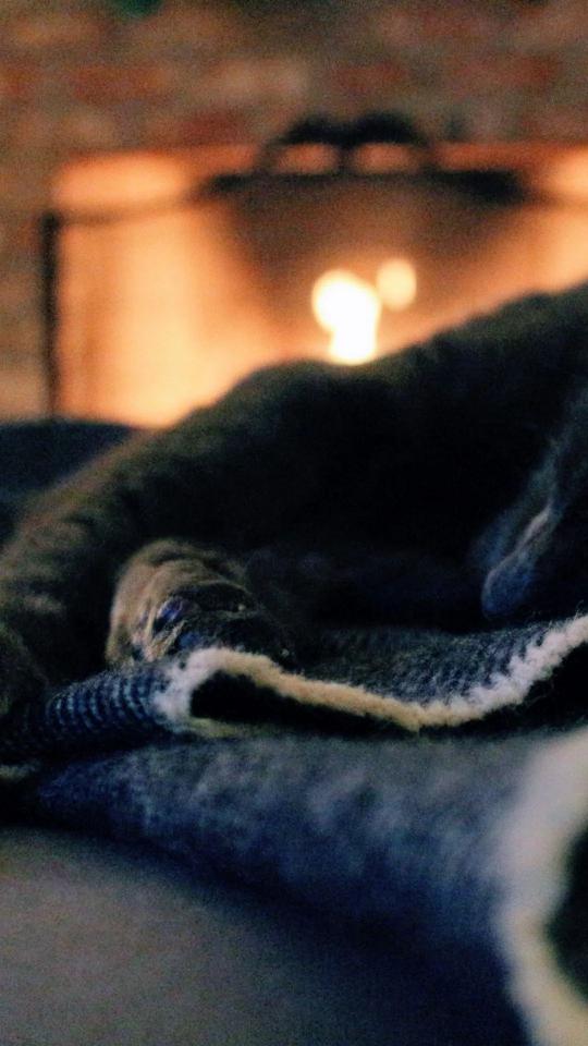Cozy Fireplace Cat Nap - Related Dark Wallpapers wallpaper