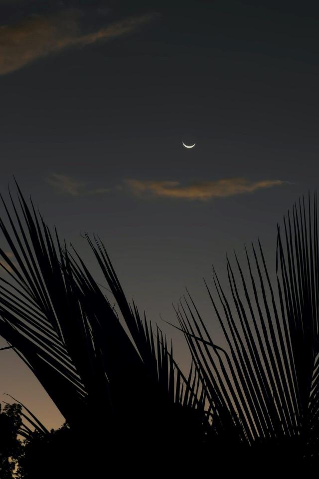 Crescent Moon Silhouette - Related Dark Wallpapers wallpaper