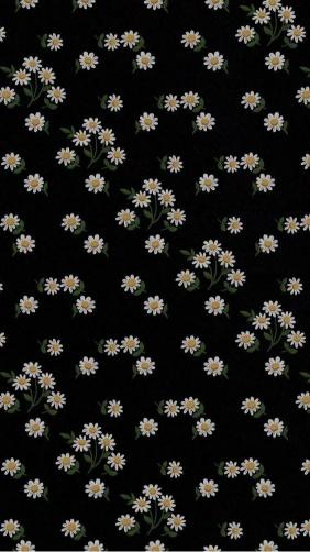 Daisy Delight on Black - Related Dark Wallpapers wallpaper