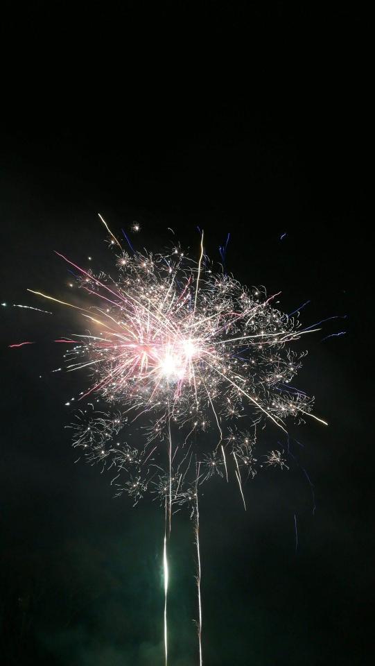 Exploding Night Fireworks