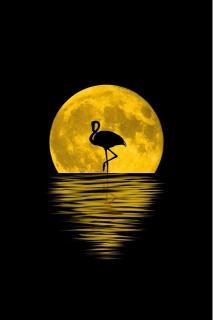 Flamingo Moon Silhouette