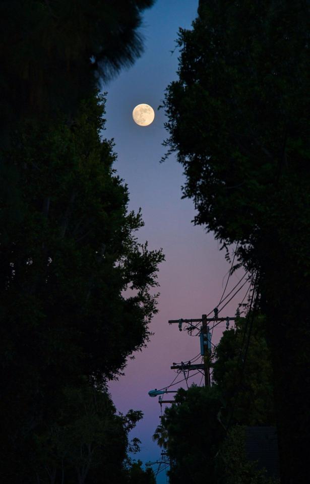 Full Moon Silhouette
