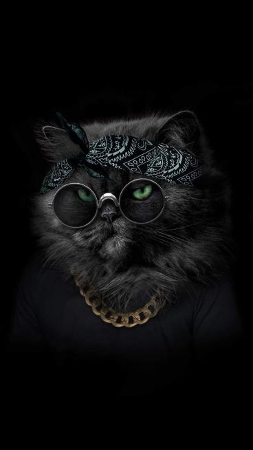 Gangster Cat Portrait - Related Dark Wallpapers wallpaper