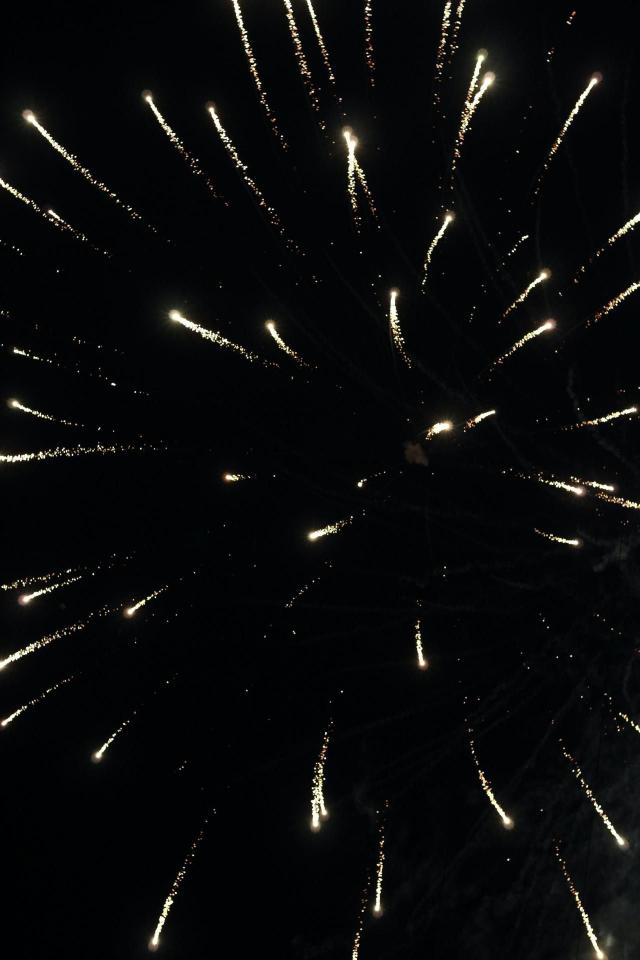 Golden Fireworks Display