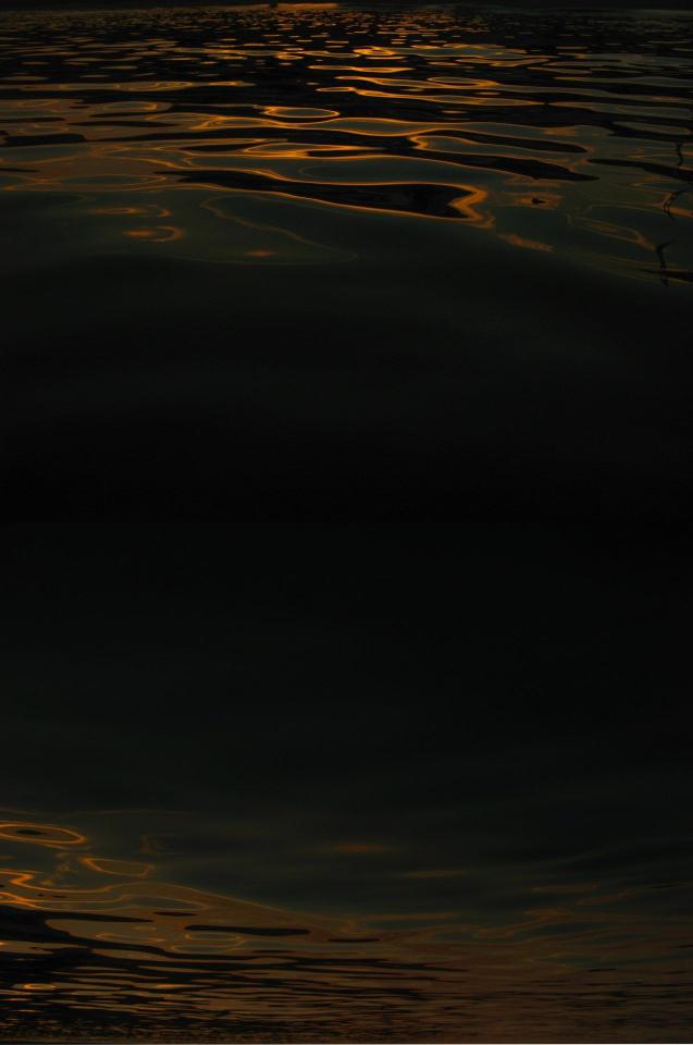Golden Water Reflections