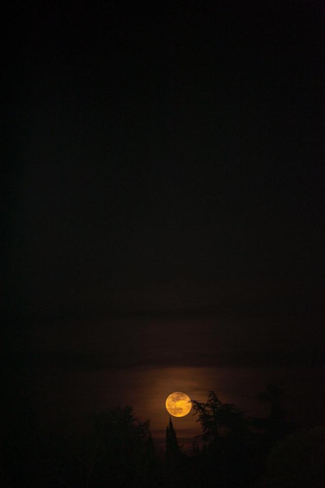 Harvest Moon Silhouette - Related Anime Wallpapers wallpaper