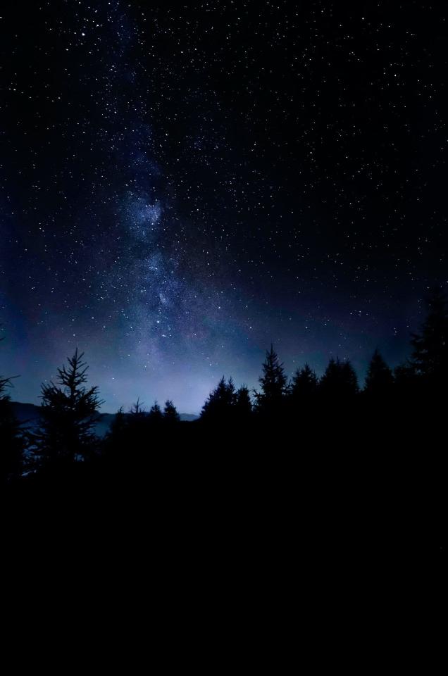 Milky Way Forest