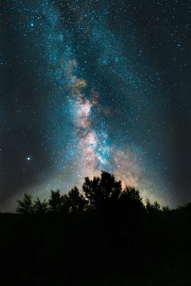 Milky Way Over Trees - Related 4K Wallpapers wallpaper