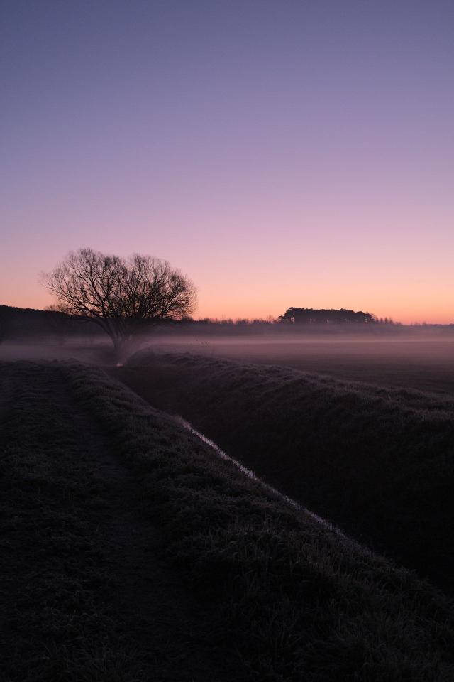 Misty Field at Dusk