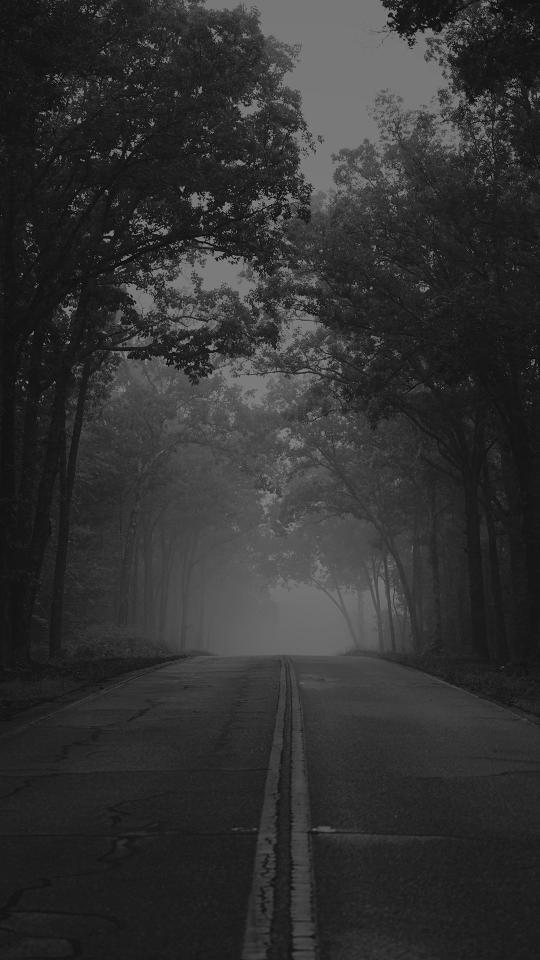 Misty Road Black and White