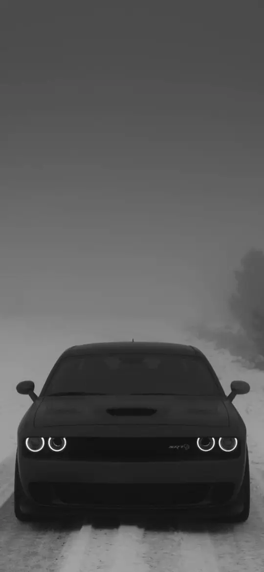 Monochrome Challenger in Fog
