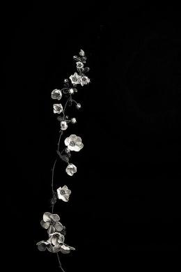 Monochrome Floral Elegance