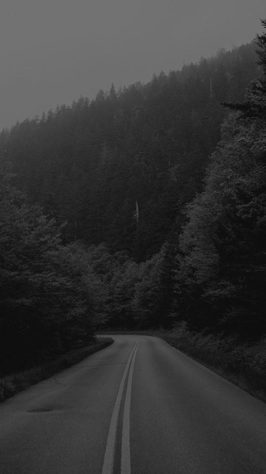 Monochrome Forest Road - Related Dark Wallpapers wallpaper