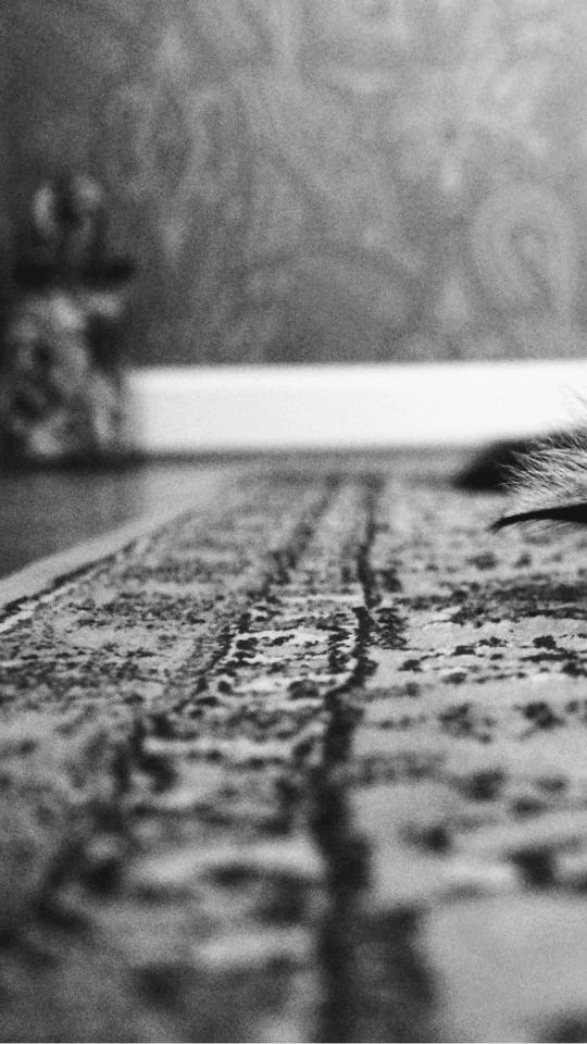 Monochrome Rug Detail - Related Dark Wallpapers wallpaper