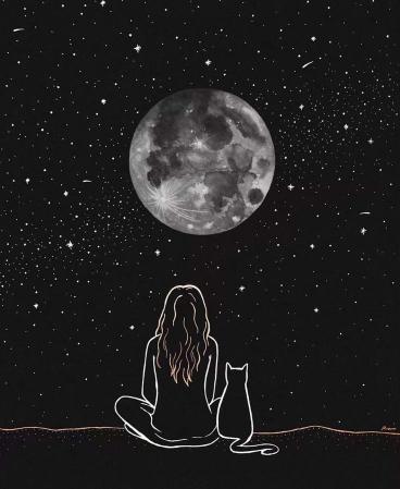 Moon Gazing with Cat