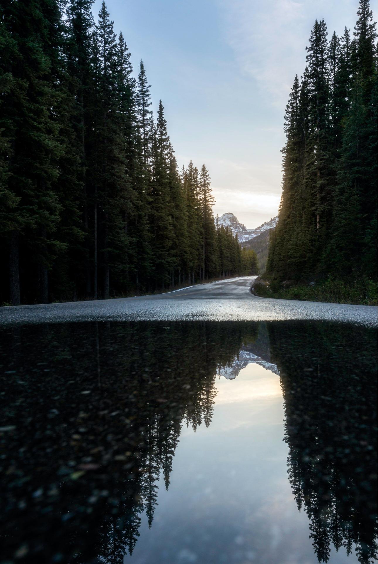Mountain Road Reflection - Related Anime Wallpapers wallpaper