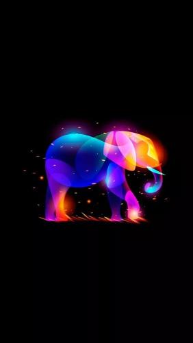 Neon Elephant Silhouette
