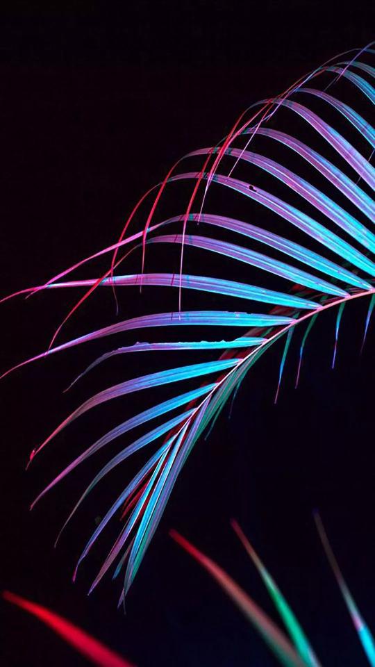 Neon Palm Leaf