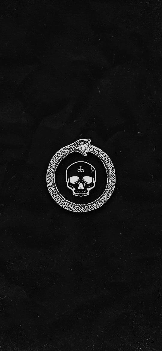 Ouroboros Skull Emblem