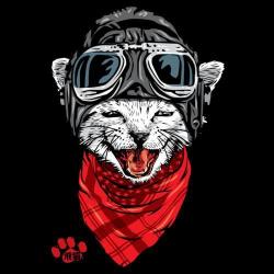 Pilot Cat Illustration