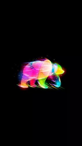 Rainbow Bear Silhouette