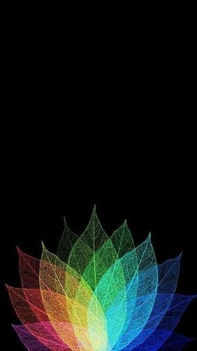 Rainbow Leaf Skeleton Bloom - Related Dark Wallpapers wallpaper