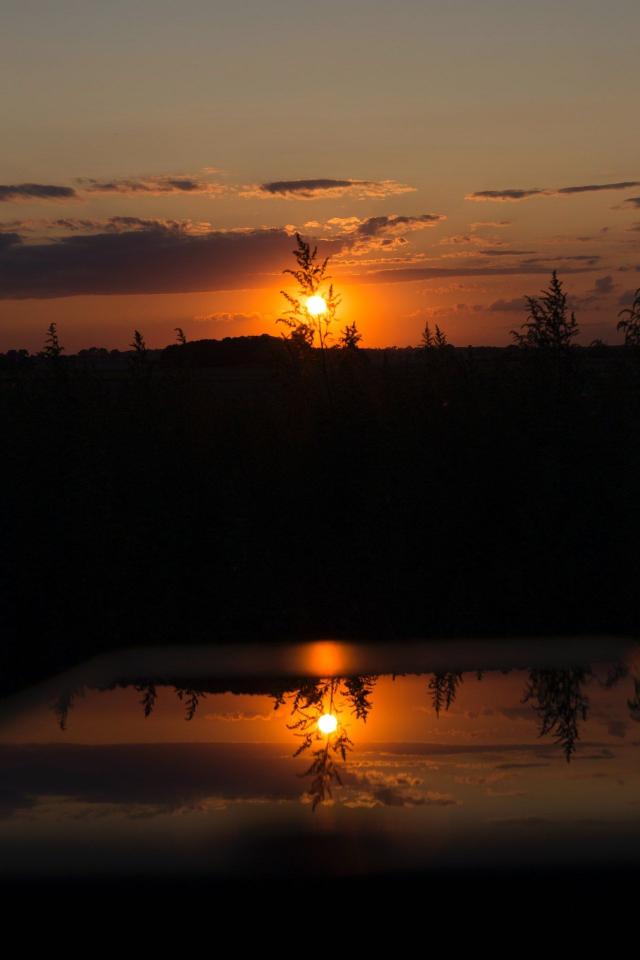 Reflected Sunset Silhouette