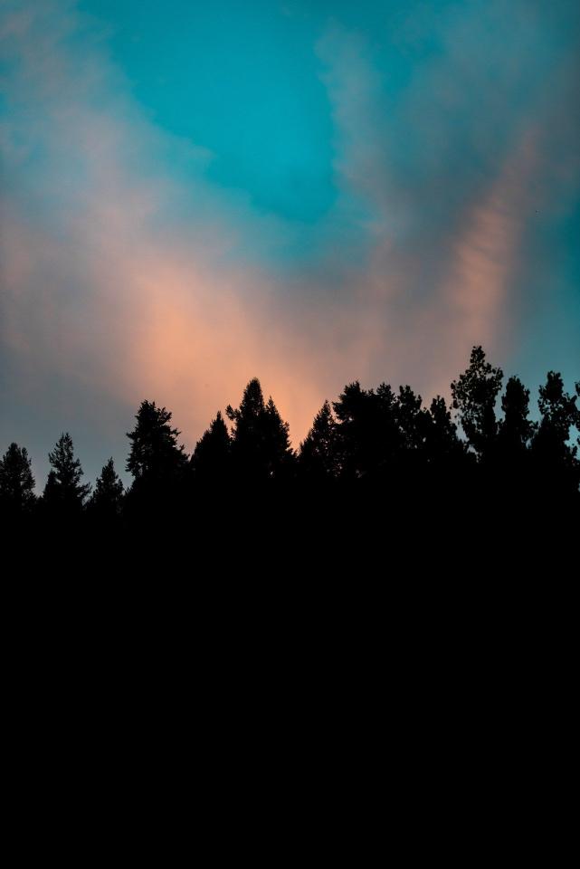 Silhouette Forest Sunset Sky