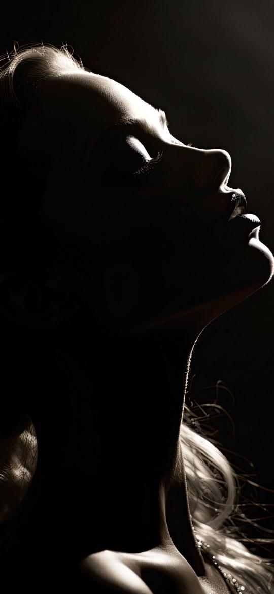 Silhouette of Serenity