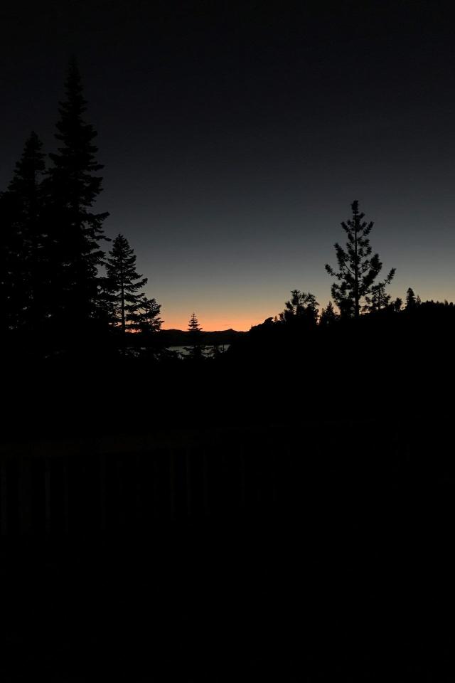 Silhouette Sunset Trees