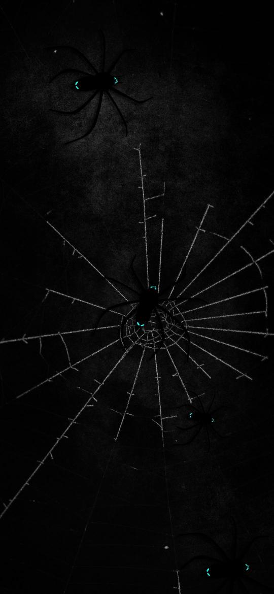 Spooky Spider Web