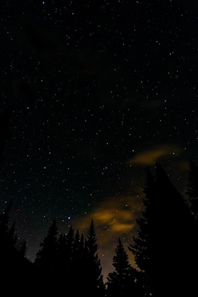 Starry Night Forest - Related Dark Wallpapers wallpaper