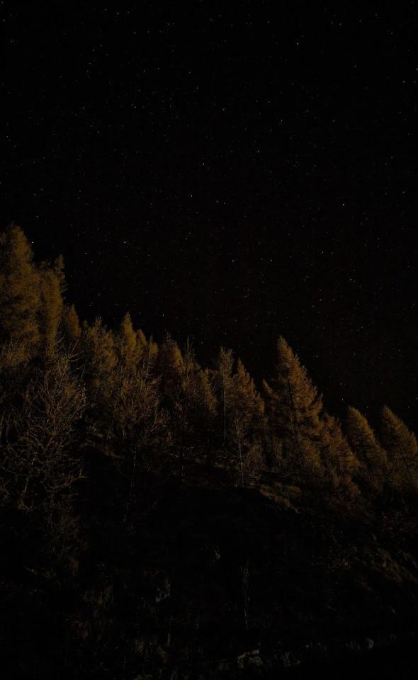 Starry Night Forest - Related Dark Wallpapers wallpaper