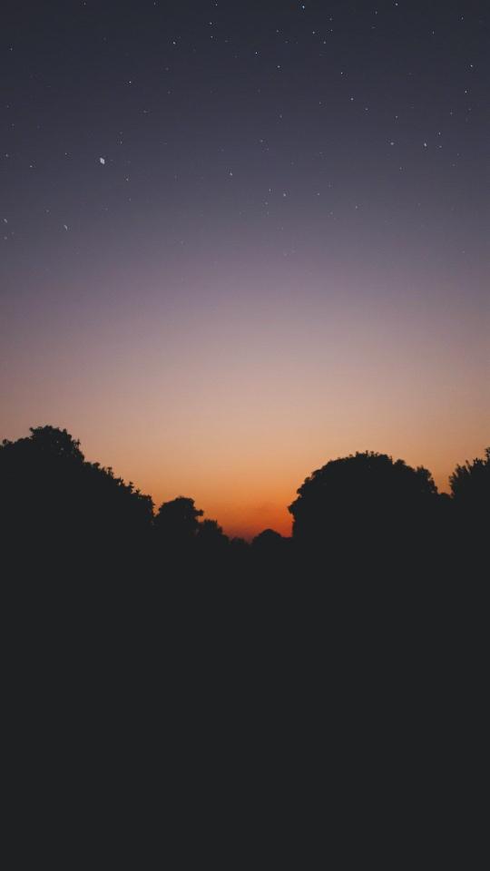 Starry Night Silhouette - Related Ghetto Wallpapers wallpaper