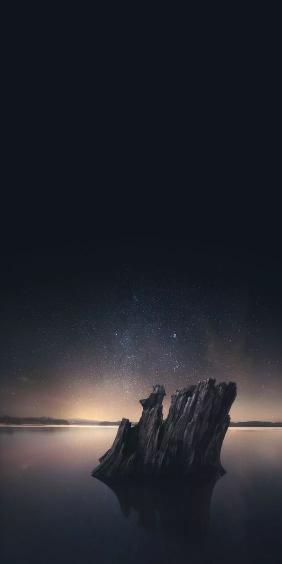 Stump Under Starry Sky