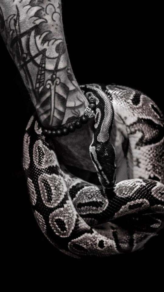Tattooed Arm and Snake