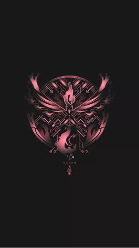 Valor Team Emblem