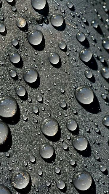 Water Droplets on Black