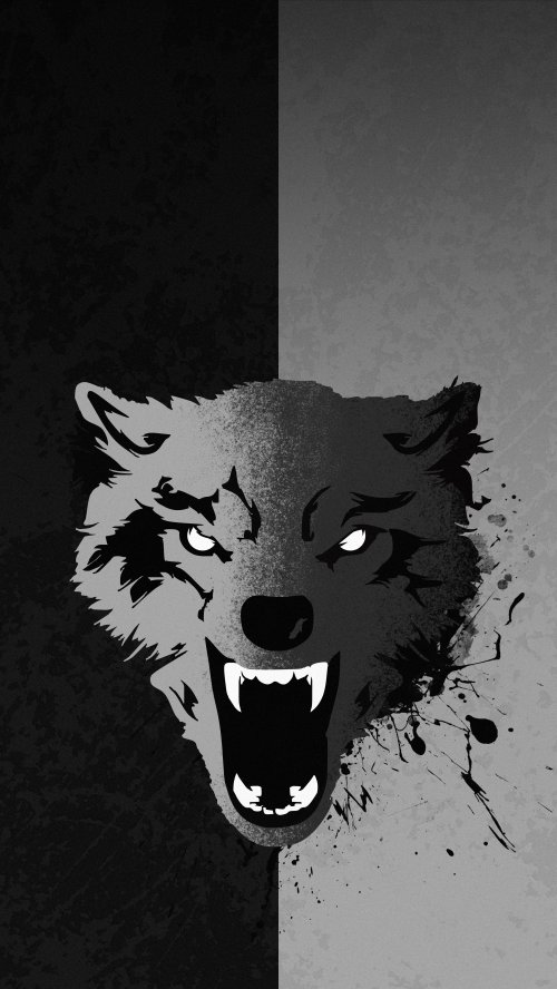 Split Tone Wolf Portrait - wolf Wallpaper