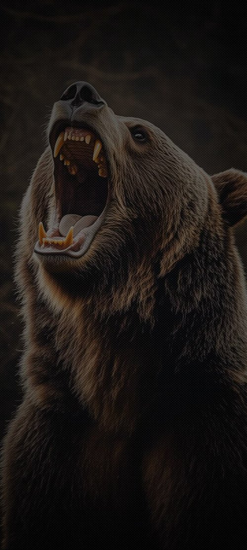 Roaring Grizzly Bear Portrait - Related Ghetto Wallpapers wallpaper