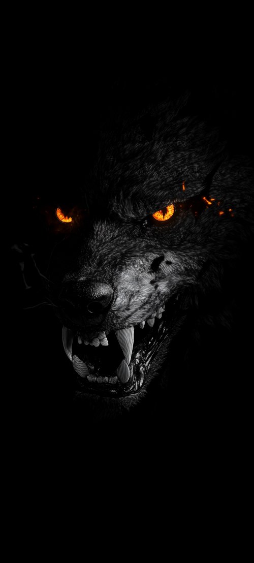 Fierce Wolf Portrait - wolf Wallpaper