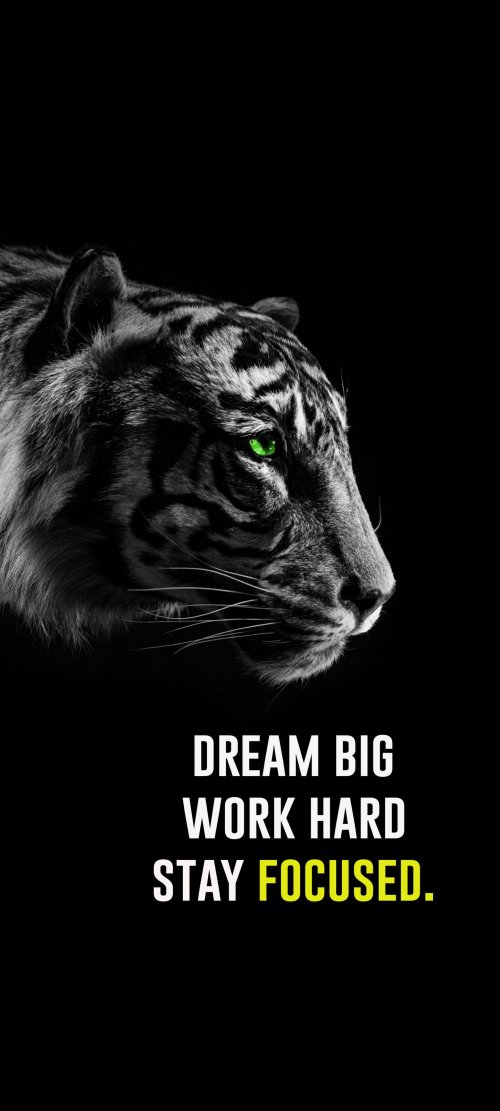 Focused Tiger Motivation