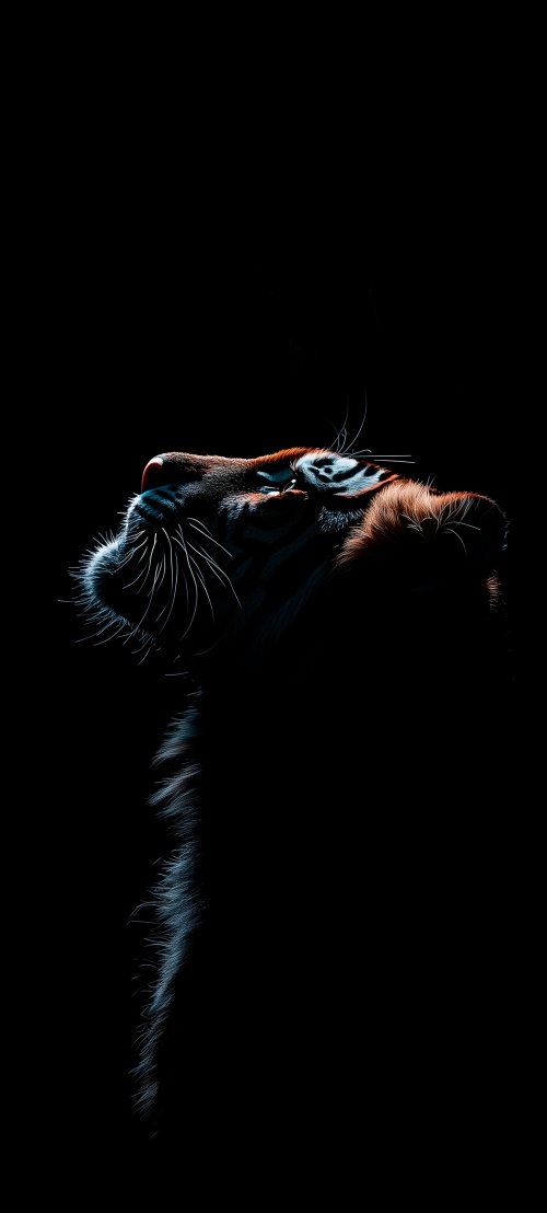 Majestic Tiger Portrait - Related Ghetto Wallpapers wallpaper