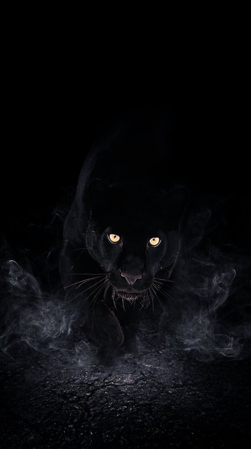 Mysterious Black Panther Smoke - Related Ghetto Wallpapers wallpaper
