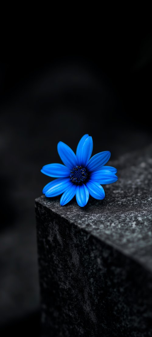 Vibrant Blue Flower
