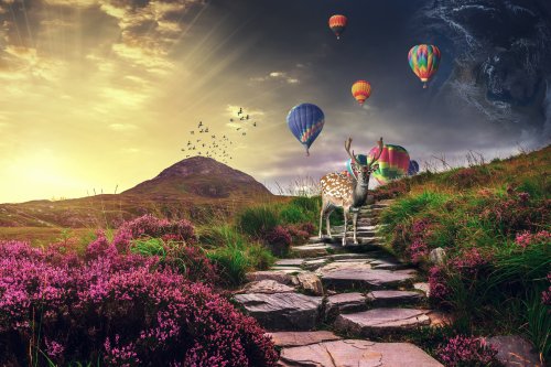 Deer and Balloon Journey - Related Dope Wallpapers wallpaper
