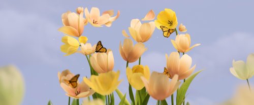 Microsoft_50th_Tulips_Light_Wide