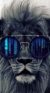 Lion Hacker Wallpaper