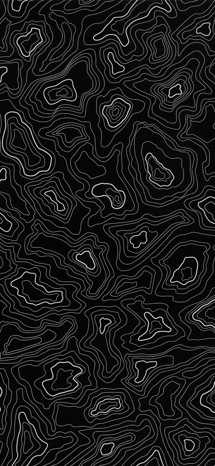 Abstract Topographic Map Lines